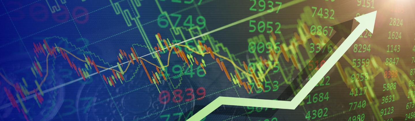 Estructuración aplicada de bonos sociales, verdes y sustentables y otros Bonos temáticos (SVS+)