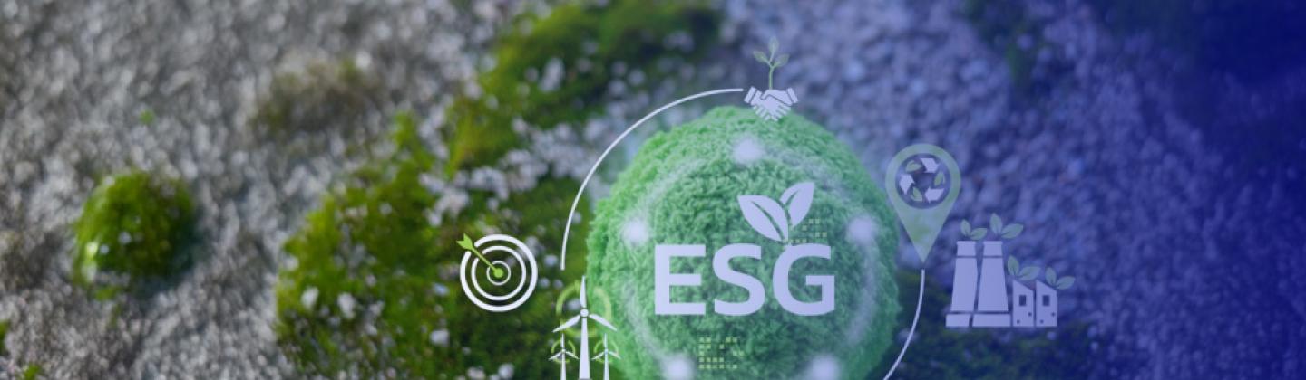 ESG Strategy Bootcamp