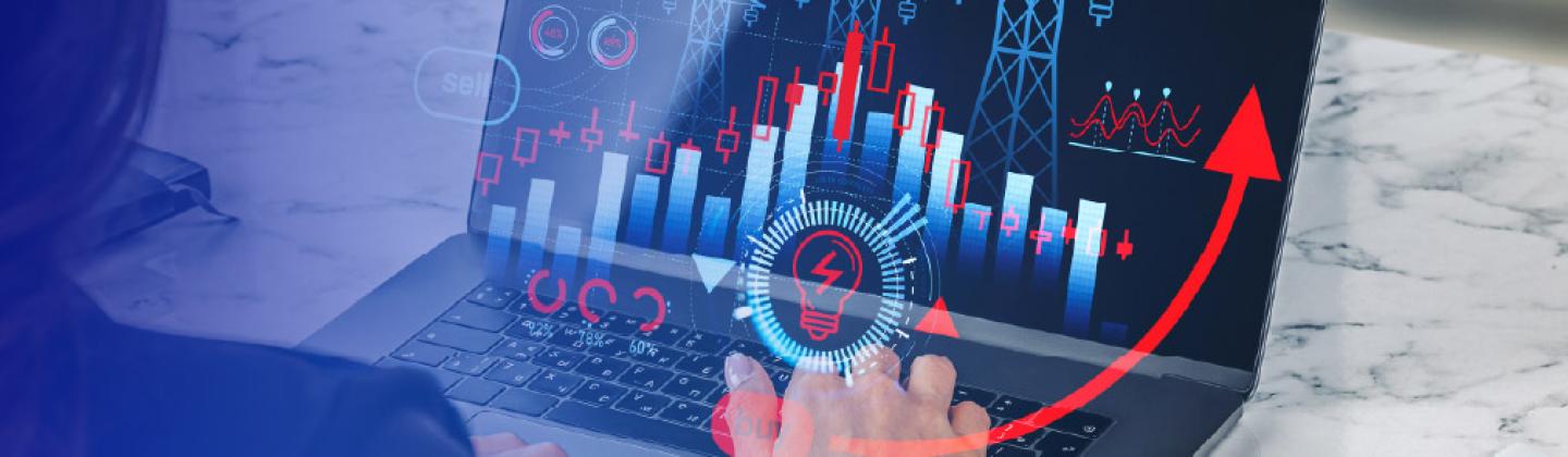 Gestión y Compra de Energía Eléctrica
